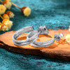Shining Path Double Lined Micro Set Moissanite Imitation Hoop Stud Earrings