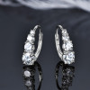 EONCO Radiance Moissanite Hoop Earrings product image