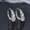EONCO Radiance Moissanite Hoop Earrings product image