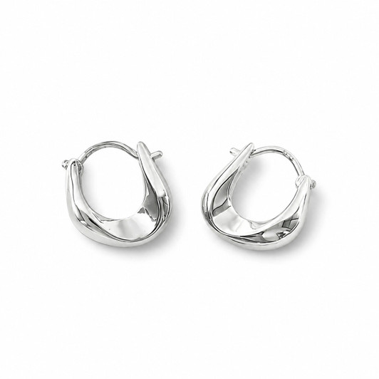 Minimalist Hoop Earrings in 925 Sterling Silver product image