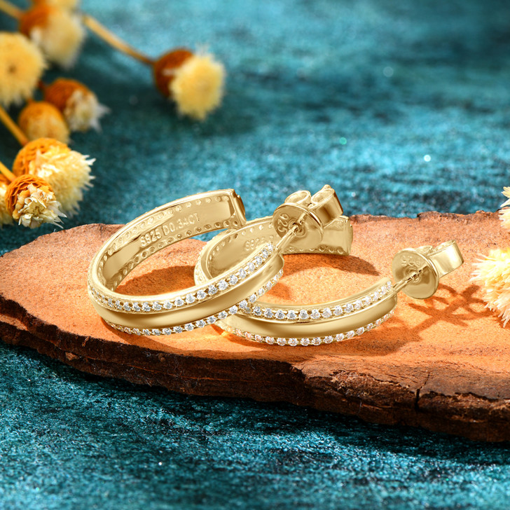 Shining Path Double Lined Micro Set Moissanite Imitation Hoop Stud Earrings