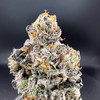 White Chocolate Chip Premium Indoor Flower