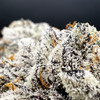 White Chocolate Chip Premium Indoor Flower