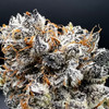White Chocolate Chip Premium Indoor Flower