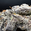 White Chocolate Chip Premium Indoor Flower
