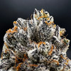 White Chocolate Chip Premium Indoor Flower