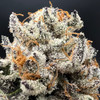 Lemonatti Premium Indoor Flower