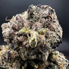 Lizzard Burger Premium Indoor flower