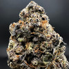 Lizzard Burger Premium Indoor flower