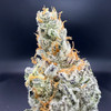 Glitter Bomb Premium Indoor Flower
