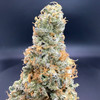 Glitter Bomb Premium Indoor Flower