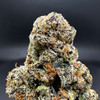 Glitter Bomb Premium Indoor Flower