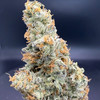 Muel Fuel Premium Indoor flower