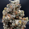 HashFace Premium Indoor Flower