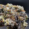 Detroit muscle Premium Indoor Flower