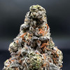 X10 Cyborg Premium Indoor Flower