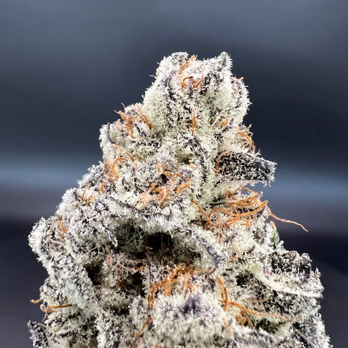 Truffle Treats Premium Indoor Flower