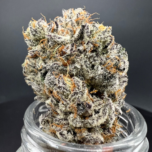 White Chocolate Chip Premium Indoor Flower