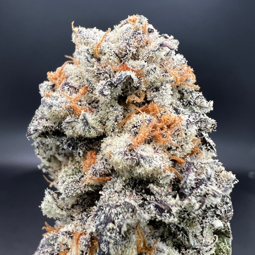 Drip Lizzard Premium Indoor Flower