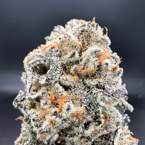 Drip Lizzard Premium Indoor Flower