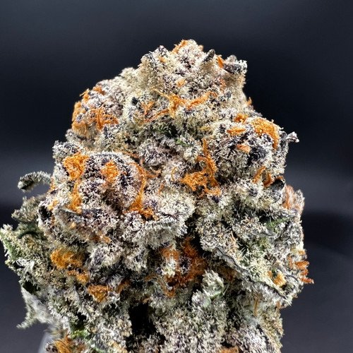 Drip Lizzard Premium Indoor Flower