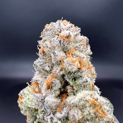 Cap Junky Premium Indoor Flower