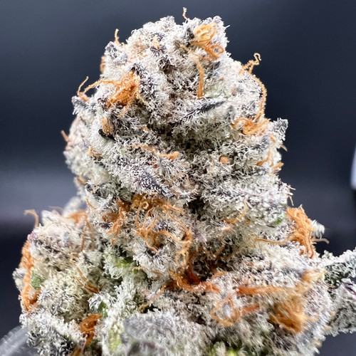 Cap Junky Premium Indoor Flower