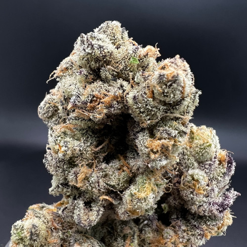 Alpha Queen Premium Indoor Flower