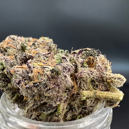 Black Dolphin Premium Indoor Flower