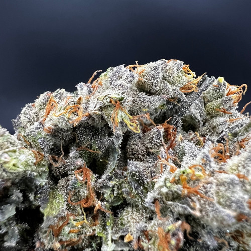 Lemon Haze X Jack Herer