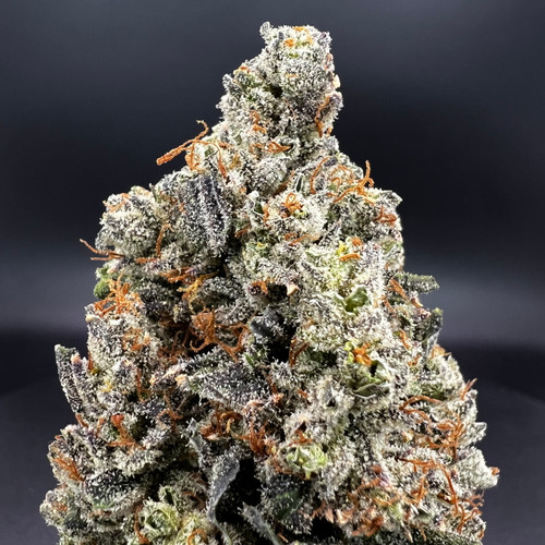 Lemon Haze X Jack Herer