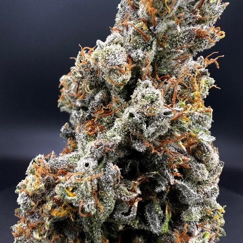 Lemon Haze X Jack Herer