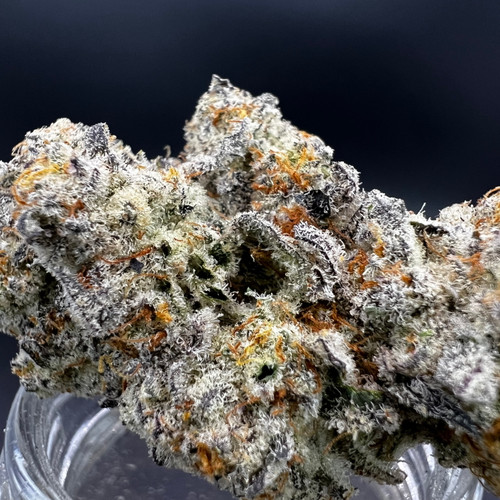 Truffaloha Premium Indoor Flower