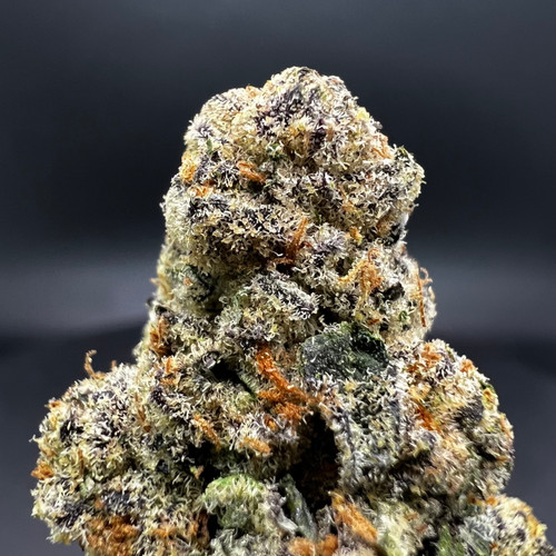 Glitter Bomb Premium Indoor Flower