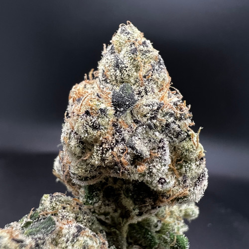 Grape Gas Premium Indoor Flower