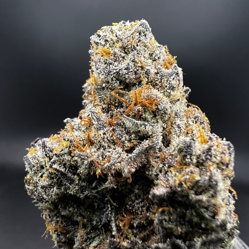 Grape Cream Cake Premium