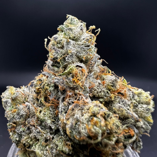 Cookie Lemon Kush