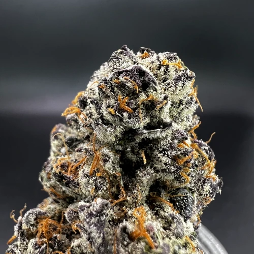 Purple Daiquiri
