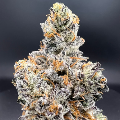 White Chocolate Chip