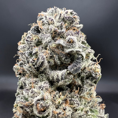 Blueberry Sugar