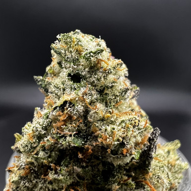 Presidential Runtz THCA flower — Purple Candy Gas