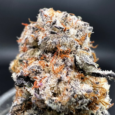 Lunch Money THCA flower — Purple Candy Gas