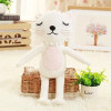 Doll Cat Lion Doll Baby Comforter Toys Plush Toy Stuffed & Plush Animals
