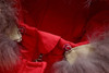 2pcs Baby Ski Suit set Coat Duck Skin Down And Winter Pants