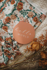 Florence & Pink Sand Reversible Milestone Cards