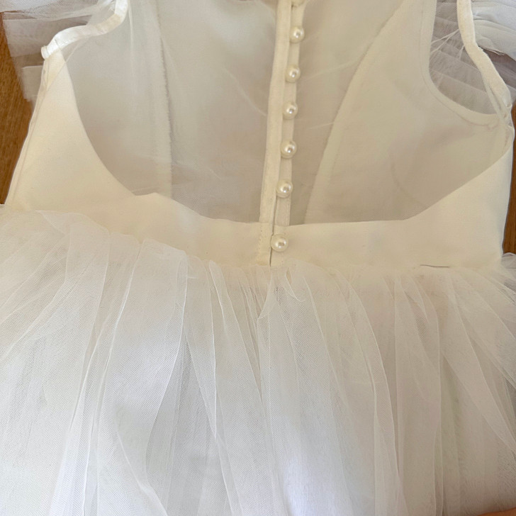 Swan Layer Tulle Cap Sleeves Dress Detailed Photos
