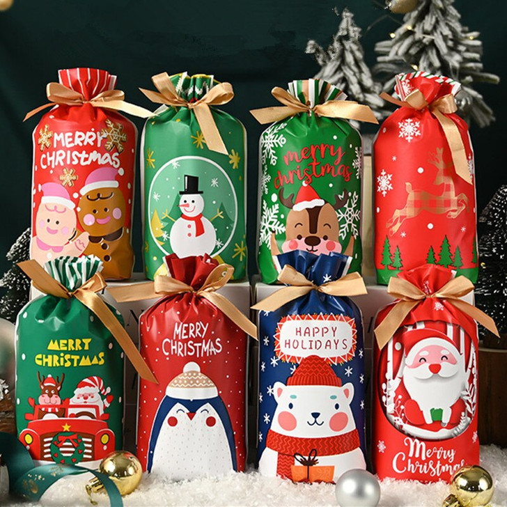 Christmas Gift Candy Bag 10pcs 