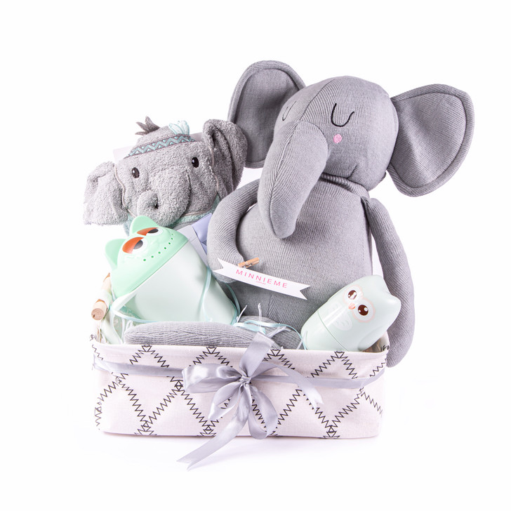 Baby Bath Time Hamer Gift Set Cute And Cozy Basket