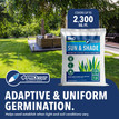 Sun & Shade Premium Grass Seed Mix