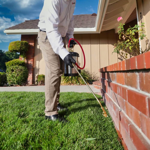 1 Gallon Sprayer - Anytime Pest Products